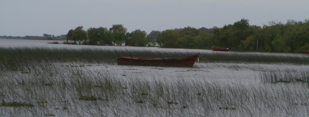 Fotografía de un pequeño bote en un río